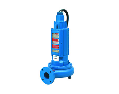 Domestic Pump
